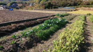 Thumbnail of post image 061